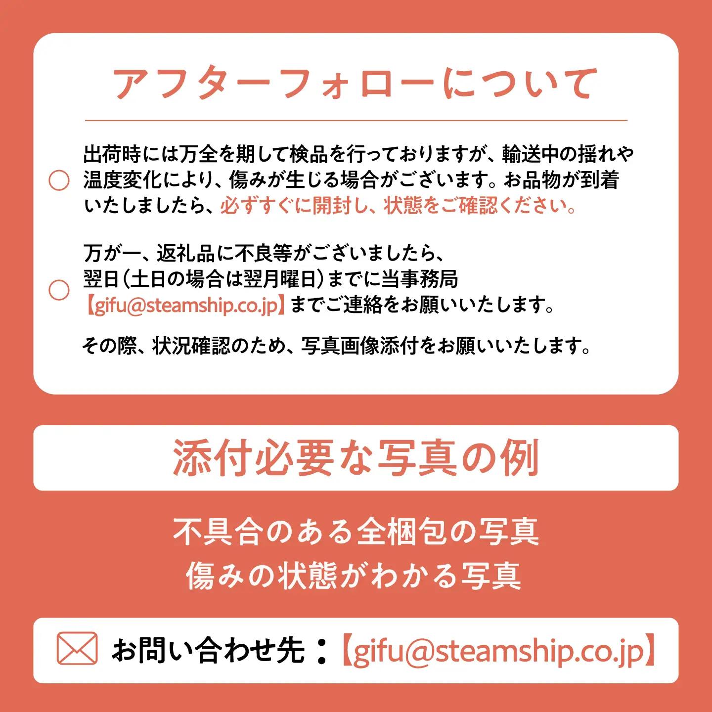 【先行予約】【2回定期便】 完熟いちじく9-12玉（サイズおまかせ） / いちじく イチジク フルーツ 果物 完熟 朝採れ 岐阜市 / tete. 【配送不可地域：北海道・沖縄・離島】[ANJZ002