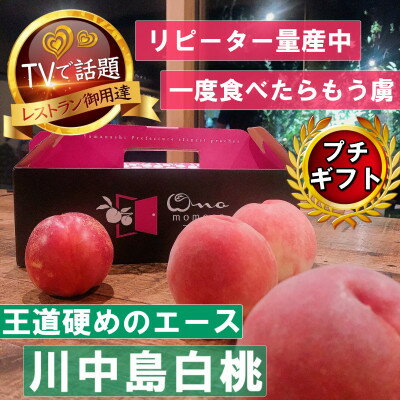 【ふるさと納税】《王道硬めのエース川中島白桃》桃グランプリ銅賞&5年連続TV出演話題ブランド2026年8月上旬発送【配送不可地域：離島・北海道・沖縄県・中国・四国・九州】【1465325】