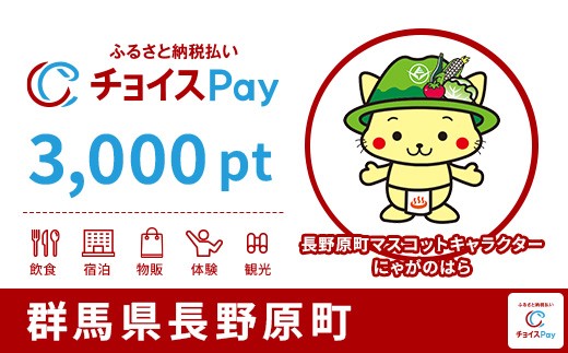 
                  長野原町チョイスPay 3,000pt【会員限定のお礼の品】
                