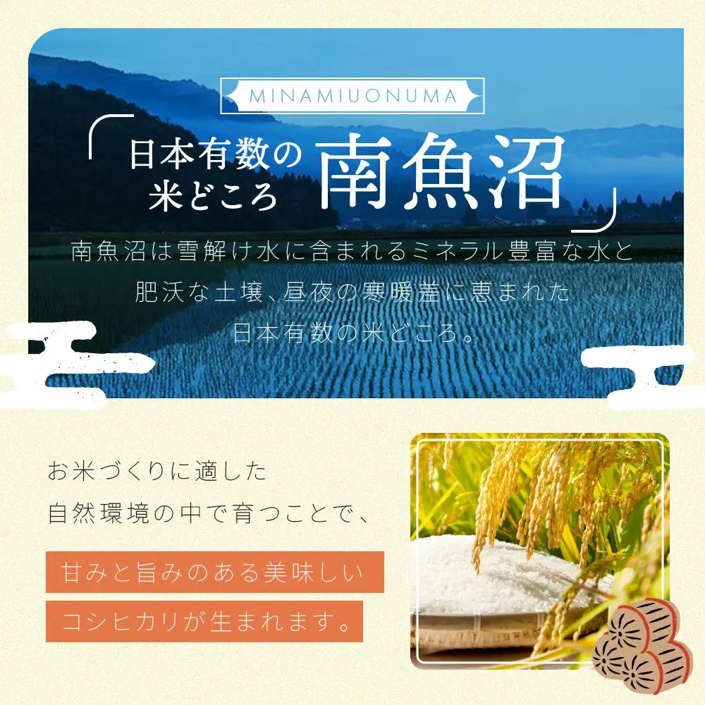 【令和7年産米】南魚沼産コシヒカリ 白米 5kg【銘柄米 ブランド米 精米 こしひかり コシヒカリ 魚沼産 新潟米 産地直送 お米 米 こめ コメ ご飯 御飯 ごはん】