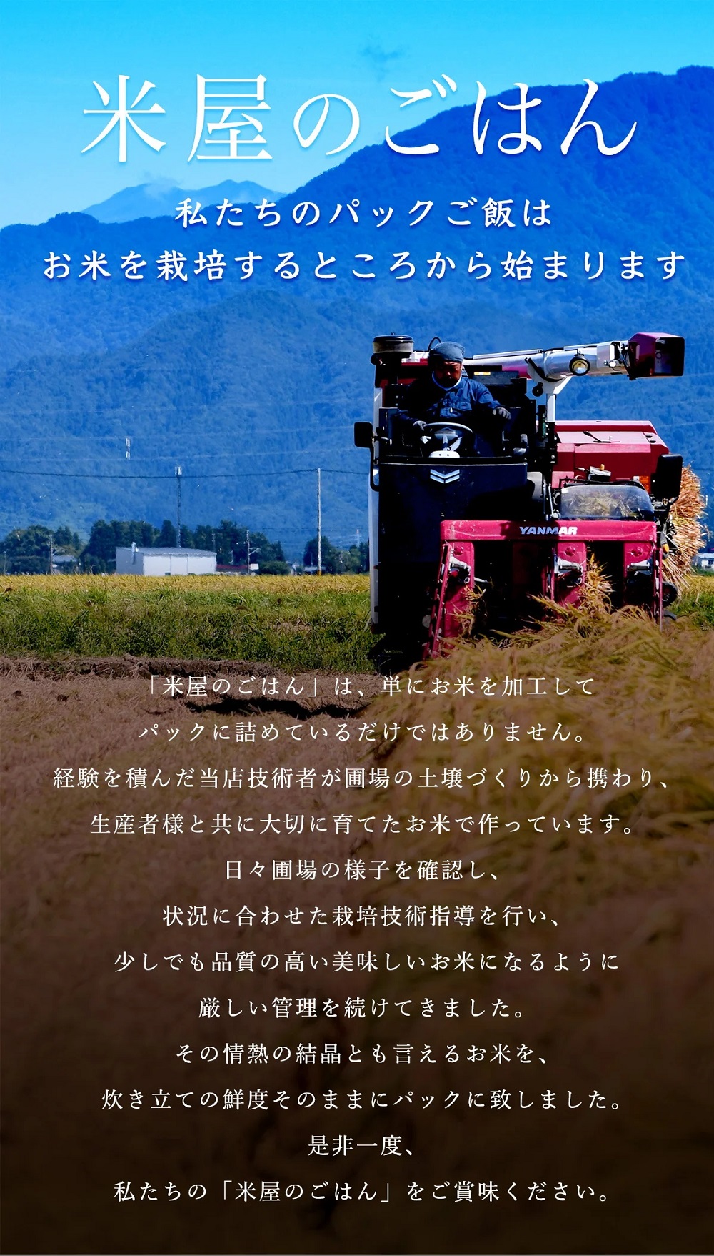【パックご飯】 みずほの輝き 150g×24食 米杜氏 壱成 新潟良食味品種 大粒 艶やか つや 冷めてももっちり 1H18011