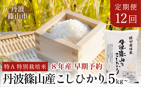 【12回定期便】〈R8年新米予約〉特A 特別栽培米 コシヒカリ 精米 5kg 定期便