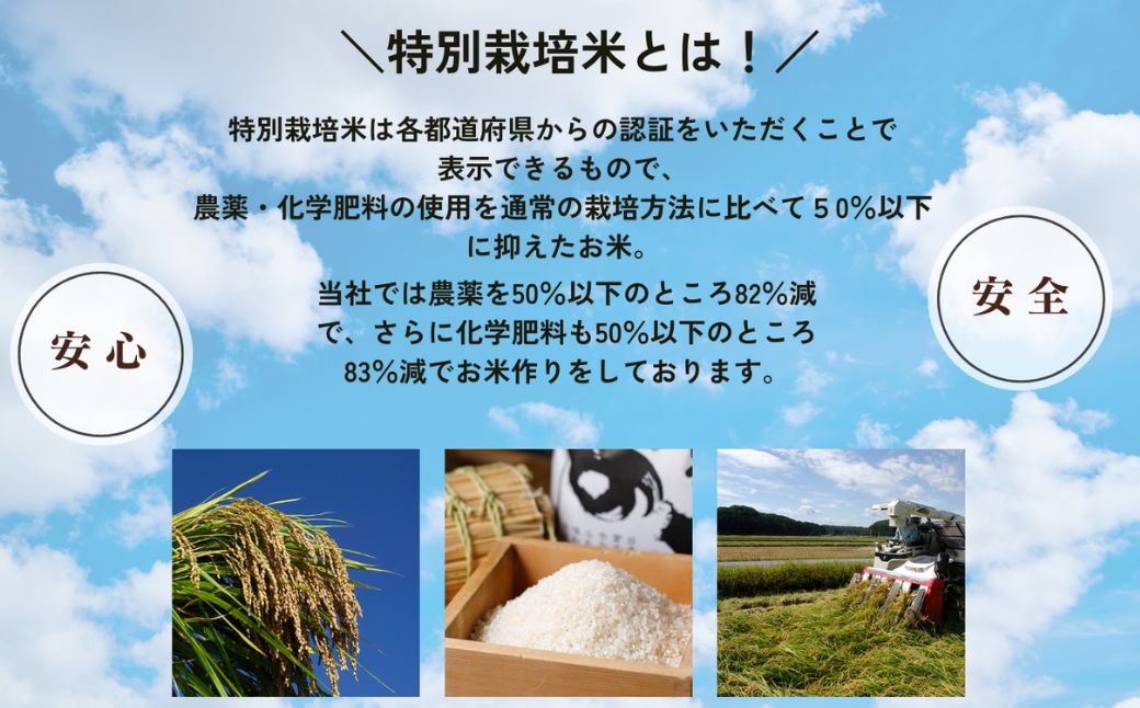 特栽コシヒカリ 精米 白米 （玄米2kgを精米したて白米発送） 令和7年産 こしひかり | 石川県 小松市【のむら農産】