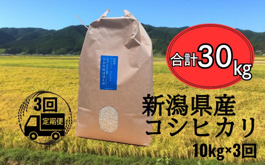 
【先行予約】新米〈3回定期便〉 令和6年産 五泉産 コシヒカリ 精米 10kg (10kg×1袋) 新潟県 五泉市 株式会社蛇場農産（2024年10月上旬以降順次発送）
