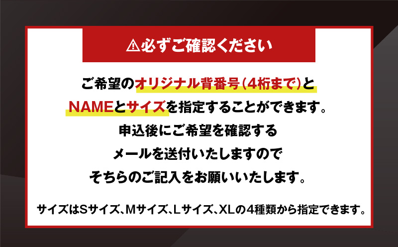 2024-2025シーズン オーセンティックユニフォーム・アウェー・オリジナル背番号＆NAME　T018-007