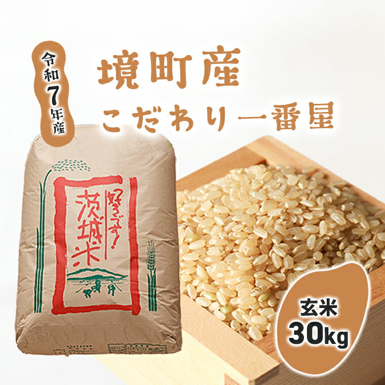 【ふるさと納税】【令和7年産】境町のこだわり玄米 「一番星」30kg