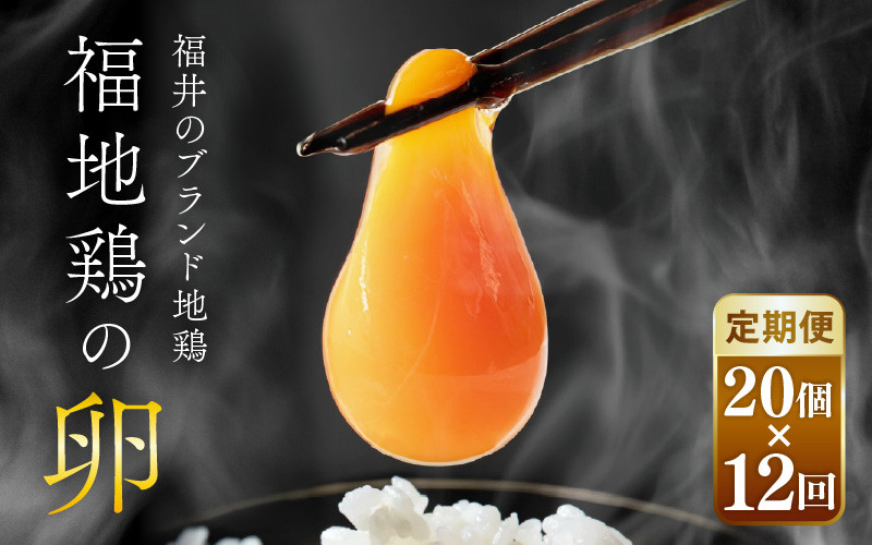 
                  【12ヶ月連続お届け】福井ブランド「福地鶏」の卵 20個 濃厚で甘くておいしい！ 定期便 ／ 卵 たまご 鶏卵 生卵 有精卵 高級 高級卵 福地鶏 鶏 平飼い 美味しい こだわり 12ヶ月 定期便 卵かけご飯 料理 あわら市 福井県産 [aw036-h001]
                