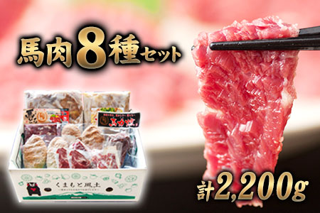 純国産馬肉8種セット 計2200g 熊本肥育 2年連続農林水産大臣賞受賞 送料無料 馬刺し 馬肉 馬スジ ホルモン 燻製 霜降り ハンバーグ 熊本県荒尾市《60日以内に出荷予定(土日祝除く)》