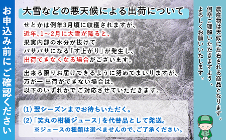 ＜せとか（家庭用）約1.2kg＋300g＞ 自宅用 訳あり ワケアリ 果物 くだもの フルーツ ミカン みかん セトカ 蜜柑 高級柑橘 柑橘の大トロ 柑橘 特産品 笑丸 愛媛県 西予市 常温『2027