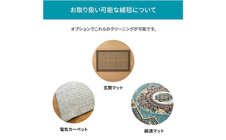 クリーニング 絨毯 ラグ カーペット 宅配 防ダニ クリーニング