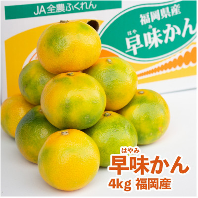 福岡産ブランドみかん・早味かん4kg(岡垣町)【配送不可地域：離島】【1308549】