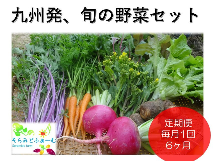 
            【定期便セット】(全6回)旬のお野菜8品詰め合わせ
          