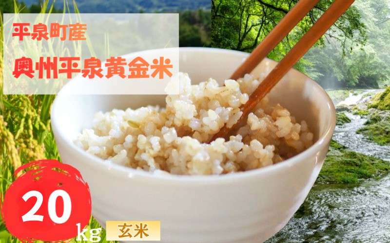 
                  【先行予約受付中！】令和8年産 11月以降順次発送！ 平泉町産 奥州平泉黄金米 玄米20kg / こめ コメ 米 お米 おこめ 玄米 ご飯 ごはん ライス 山水【aoki017A】
                