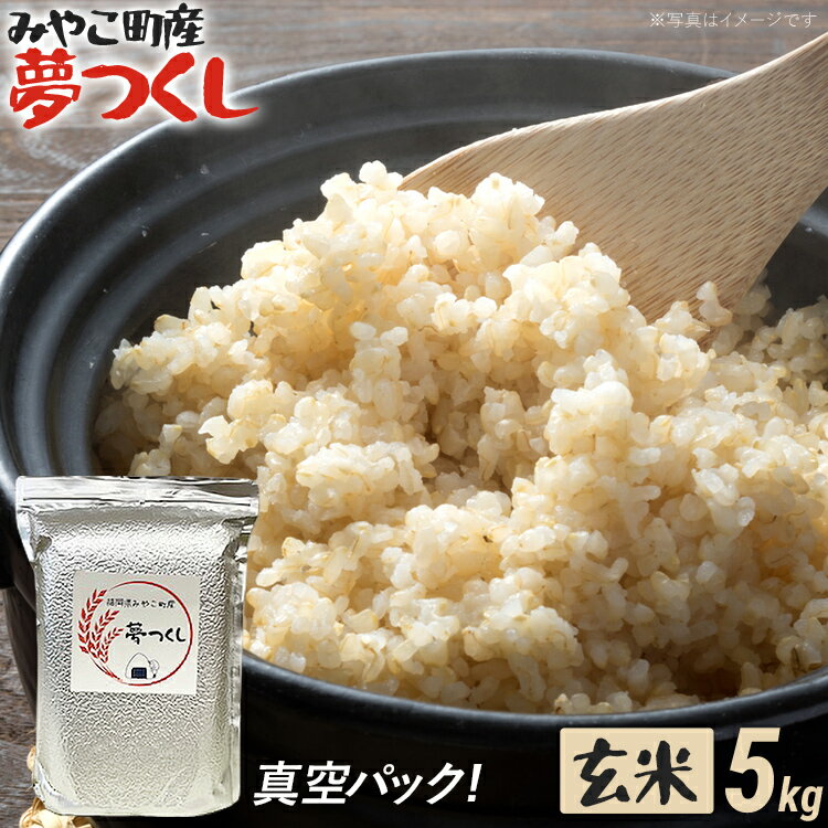 【ふるさと納税】米 玄米 真空パック 福岡県 みやこ町産 夢つくし （玄米） 5kg 【期間限定】 チャック付き 防虫 ごはん おにぎり おやつ 福岡県 福岡 九州 グルメ お取り寄せ