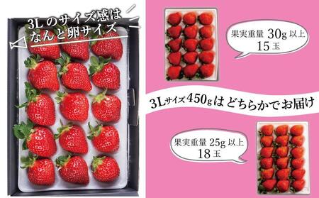 【2025年1月～4月納品分予約販売】★福岡の産直いちご農家★武下さんちの完熟あまおう3Lサイズ450g