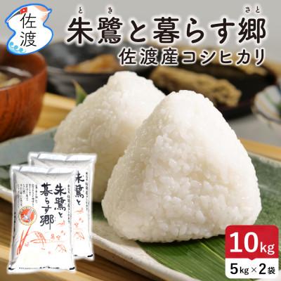 ふるさと納税 佐渡市 佐渡島産コシヒカリ「朱鷺と暮らす郷」無洗米10kg(5kg×2袋) 令和7年産 特別栽培米