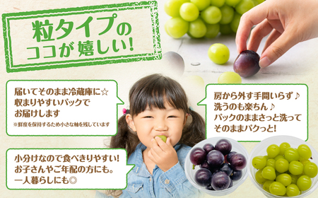 先行予約 ぶどう 2～4種 食べ比べパック 約300g×4 訳あり粒タイプ 福島県 田村市