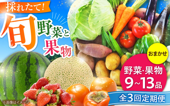 【全3回定期便】【数量限定】菊陽町特産品 「野菜・果物などの詰め合わせ」　 / 新鮮 詰合せ フルーツ 野菜セット 旬 おまかせ にんじん 直売所 やさい くだもの 熊本県 特産品 菊陽町【有限会社さんふれあ】 [BHAK007]