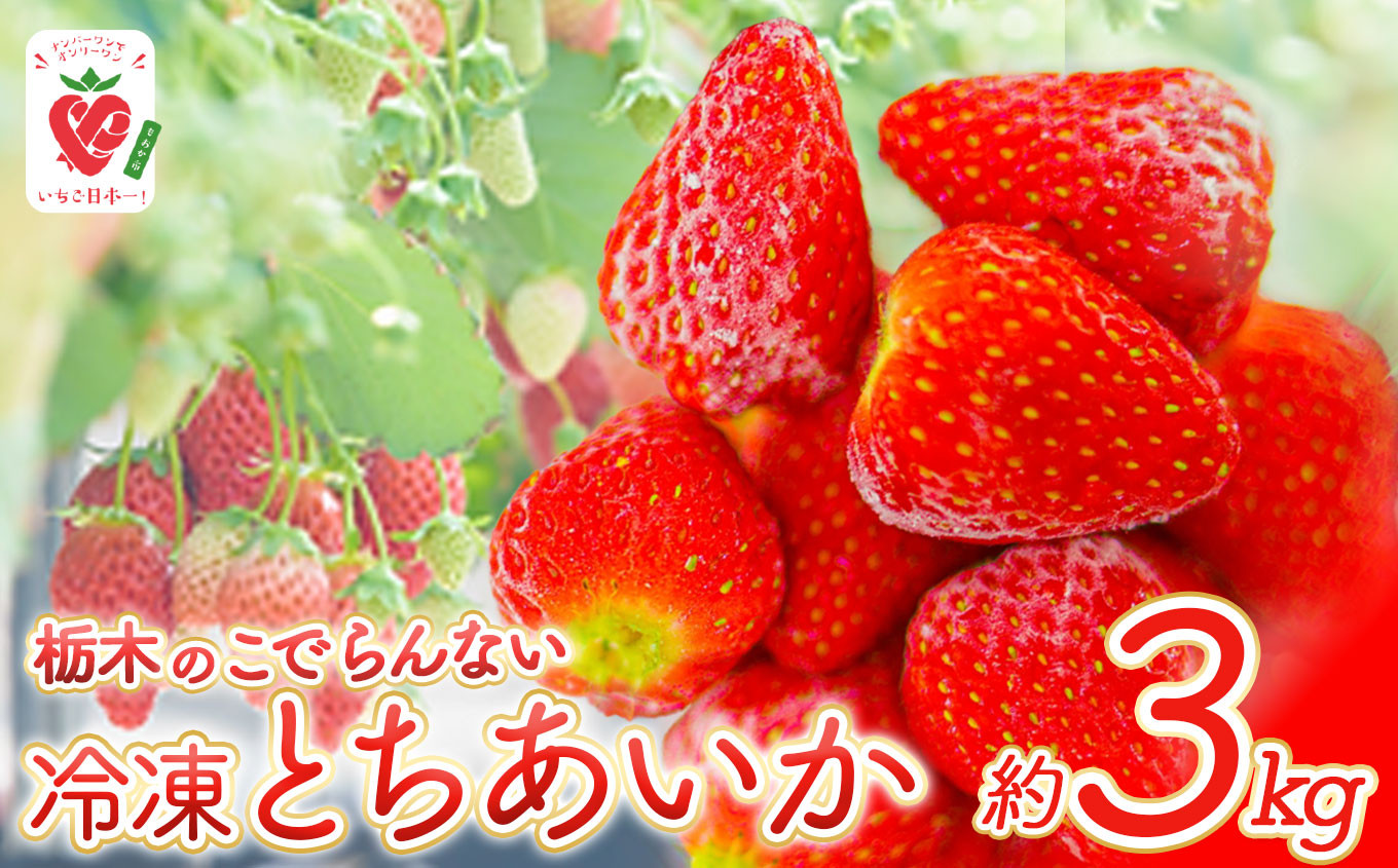 
栃木のこでらんない冷凍イチゴ（とちあいか） | とちあいか いちご イチゴ 完熟 高糖度 日本一 栃木県 甘味が強い 酸味が少ない
