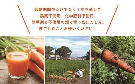 【有機JAS】 ジュースに最適！たっぷりにんじん６kg！（訳ありふぞろい規格）