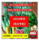 【ふるさと納税】【先行予約】【3ヶ月定期便】たくみのほほ笑みセット (季節の野菜おまかせ7種) ＜出荷開始：2025年7月1日～2025年 9月30日まで＞高原野菜【 産地直送 産直 季節の野菜 旬の野菜 詰合せ 有機野菜 有機栽培 長野県 佐久市 】