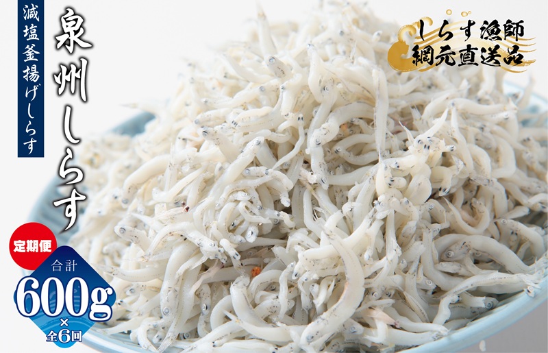 減塩 釜揚げしらす 600g×全6回【定期便 小分け シラス しらす sirasu 海鮮 人気 おすすめ 産地直送 大阪 泉佐野 大阪府 泉佐野市】