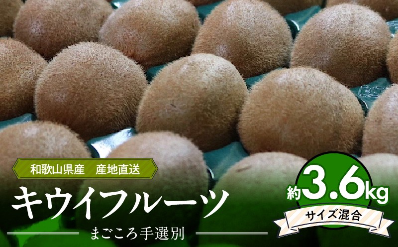 
            ZE6187n_【2026年先行予約】和歌山県産 キウイフルーツ 3.6kg (サイズ混合) 【まごころ手選別】 【キウイ グリーンキウイ フルーツ 国産】
          