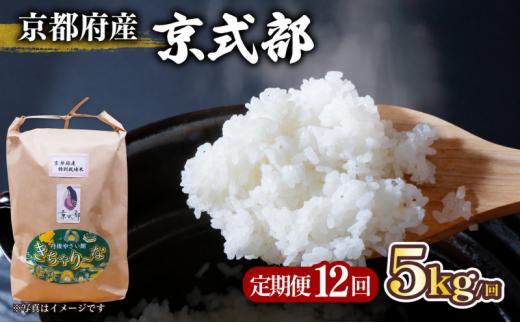 【全12回定期便】 京都府産 銘柄米 京式部 5kg