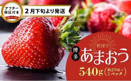 
										
										【2月下旬より順次発送】農家直送 朝採り新鮮いちご 【博多あまおう】(約270g)×2パック
									