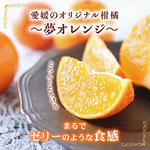 【紅まどんなと同品種】【訳あり】 夢おれんじ まどんな 5kg 武田屋