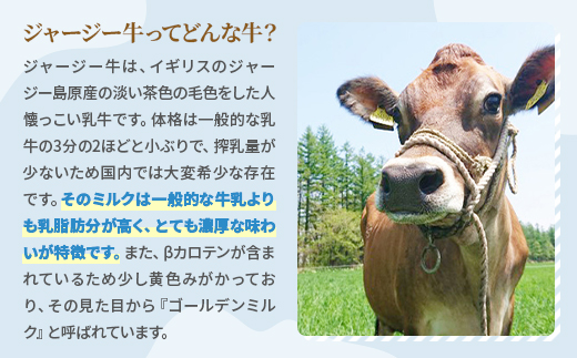 十勝ジャージー飲むヨーグルト 500g×6本セット【配送不可地域：離島】