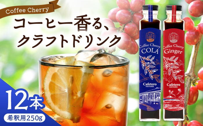 
            カフェテーロ葉山　コーヒーチェリーコーラ 6本 コーヒーチェリージンジャー 6本/ 天然エネジードリンク 酸味 フルーティ 神奈川県【合同会社エンディレクト】 [ASBM005]
          