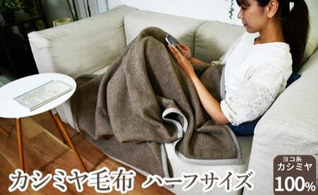 カシミヤ毛布 ハーフサイズ [2162] | 毛布