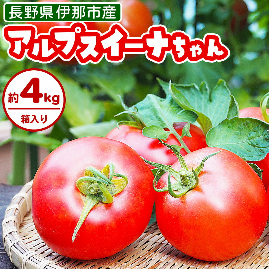 【ふるさと納税】アルプスイーナちゃん トマト（4キロ箱入り）【010-07】｜伊那市 収穫 美味しい トマト 甘さ 酸味 バランス 濃厚 味 おいしい 空気 ふるさと納税