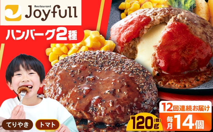 
                  【全12回定期便】ジョイフル ハンバーグ スペシャル 詰め合わせ 2種 14個 セット《築上町》【株式会社 ジョイフル】 [ABAA077] 138000 138000円
                