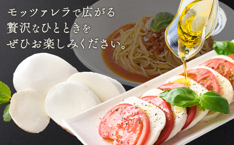 モッツァレラチーズ ミル爆 10個 チーズ モザレラ 株式会社フォルナ・ヴェスタ《90日以内に出荷予定(土日祝除く)》フレッシュ カプレーゼ おつまみ 前菜 手作り 国産 熊本県 菊池市 送料無料--