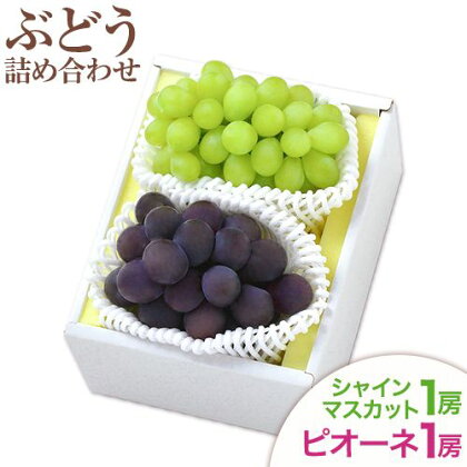 シャインマスカット・ピオーネ詰め合わせ 約1kg マスカット 葡萄 ブドウ ぶどう ピオーネ フルーツ セット 令和6年産先行予約 晴れの国おかやま館 《2025年8月下旬～10月下旬頃出荷》 フルーツ 果物 果実 岡山県 笠岡市