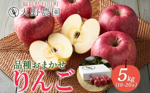 りんご5kg 品種お任せ 10～20玉 ｜ リンゴ 旬 ランダム 林檎 果物 フルーツ 甘い アップル 産直 大野農園 福島県 石川町【19011】