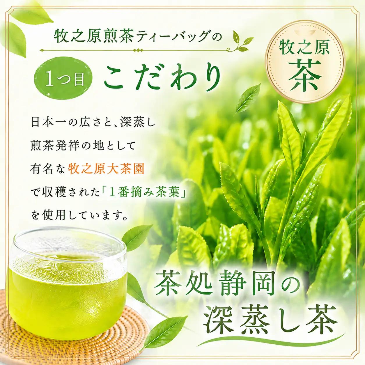 深蒸し茶ティーバッグ10袋セット 日本茶 静岡お茶 静岡緑茶 喜作園 静岡県 牧之原市