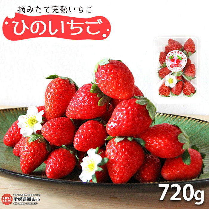 【ふるさと納税】＜摘みたて完熟いちご「ひのいちご」720g（180g×4パック）＞ ※2025年11月末から12月末迄に順次出荷 苺 イチゴ 果物 くだもの フルーツ ストロベリー 新鮮 旬 期間限定 産地直送 ひのいちご園 愛媛県 西条市 【冷蔵】【JP】