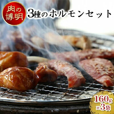 【ふるさと納税】【ヤキニクストック】3種のホルモンセット 160g×3袋【肉の博明】【焼肉セット】【国産】　 牛肉 ホルモン 肉の加工品 豚ホルモン 味付け肉 テッチャン コプチャン 焼肉 一人焼肉 ストック