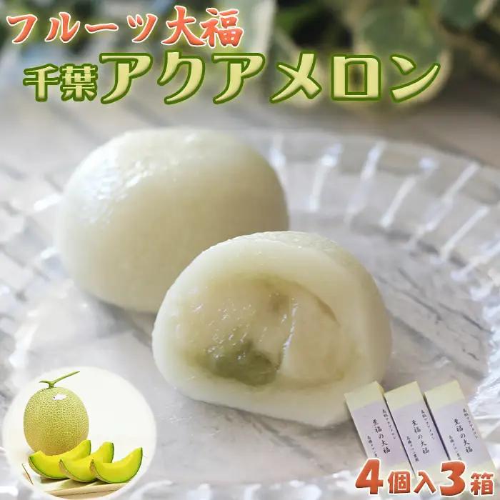 【高橋メロン農園】フルーツ大福～千葉アクアメロン～ 12個　 [0010-0243]