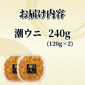 潮うに 240g (120g×2) 冷凍 うに