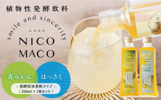 
【定期便3回】植物性発酵飲料「NICOMACO」2本セット（青みかん、はっさく） 発酵飲料 発酵 希釈 原液 滋賀県 甲賀市 発酵飲料水 青みかん はっさく 果物 くだもの てんさい糖 てんさい
