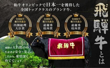 A5等級飛騨牛 定期便 4回（しゃぶしゃぶ／ステーキ／すき焼き／焼肉）【2月・5月・8月・11月発送】| 冷蔵配送 定期便 飛騨牛 赤身 年4回お届け おいしい 人気 飛騨高山 岩ト屋 HF113