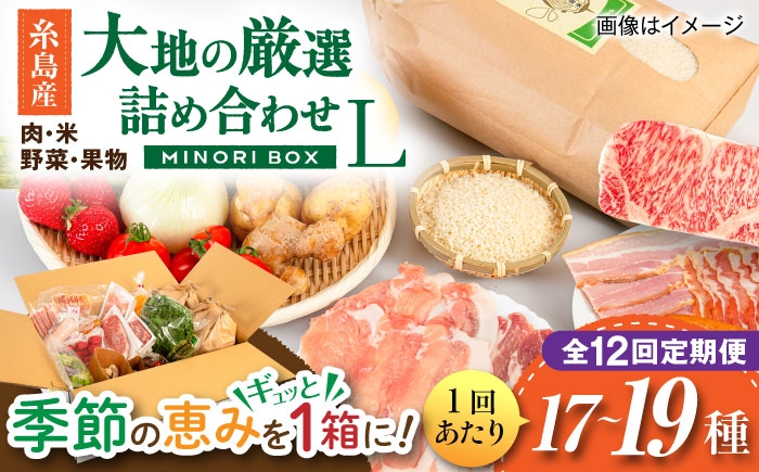 
                  【全12回定期便】糸島産 肉 米 野菜 果物 厳選詰め合わせ MINORI BOX Lサイズ 糸島市 / emma.Inc / 米 肉 野菜 果物 詰め合わせ [AOP018]
                
