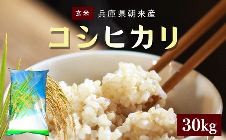 【令和6年産 新米】朝来産コシヒカリ米(30kg)《玄米》 兵庫県 朝来市 AS4DE1 米 こめ コメ お米 おこめ おコメ ご飯 ごはん コシヒカリ こしひかり 新米 新米 新米 新米 新米 新米 新米 新米 新米 新米 新米 新米 新米 新米 新米 新米 新米 新米 新米 新米 新米 新米 新米 新米 新米 新米 新米 新米 新米 新米 新米 新米 新米 新米 コシヒカリ こしひかり コシヒカリ こしひかり コシヒカリ こしひかり コシヒカリ こしひかり コシヒカリ こしひかり コシヒカリ こしひかり