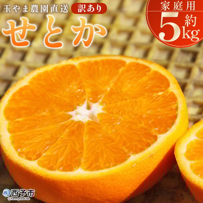 
＜【訳あり】 玉やま農園直送 せとか 家庭用 約5kg ＞ 数量限定 期間限定 5キロ みかん ミカン 蜜柑 柑橘類 フルーツ 果物 果実 くだもの 特産品 甘い ジューシー 旬 ご自宅用 訳アリ 愛媛県 西予市 【常温】
