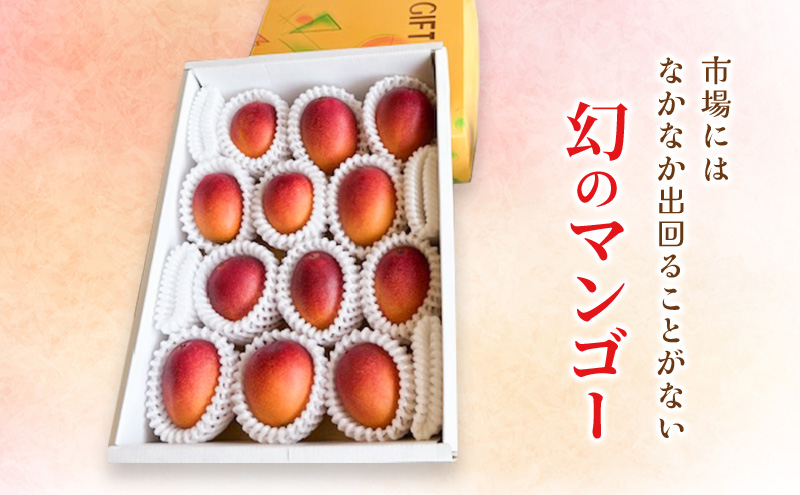 【受付期間:2025年6月25日まで】マンゴー 完熟ミニマンゴー 約1kg 浜松赤土産（化粧箱入） 果物 くだもの フルーツ 完熟 濃厚 甘い 贈答用 幻といわれるマンゴー  静岡県 浜松市