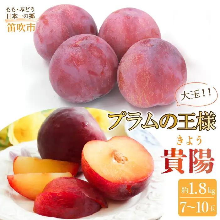 【2026年発送★先行予約】笛吹市産　貴陽　約1.8kg　（大玉7～10玉） 205-008-26y
